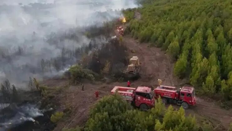Son Dakika… Osmaniye’de bir orman işçisi daha şehit oldu