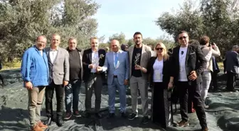 Zeytin Ağaçları Barışın ve Bereketin Simgesi 3 edremit ticaret odasi baskani ahmet cetin bin 19294666 amp