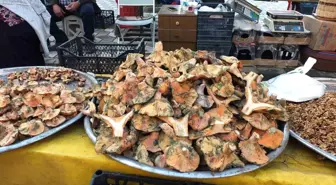 Balıkesir'de Melki Mantarı Bereketi: Fiyatlar Düşüyor 3 balikesir de yagmur yagdi mantar fiskirdi 19314136 amp