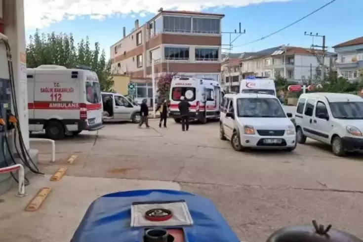 iznik te zeytin iscileri tavuklu pilavdan 19239466 6139 amp