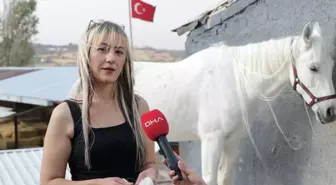 Kadın Kuaförü, Hobi Olarak Başladığı At Yeleği Süslemeyi Mesleğe Dönüştürdü 3 kadin kuaforu yelelerine taktigi kaynaklarla 19246004 amp
