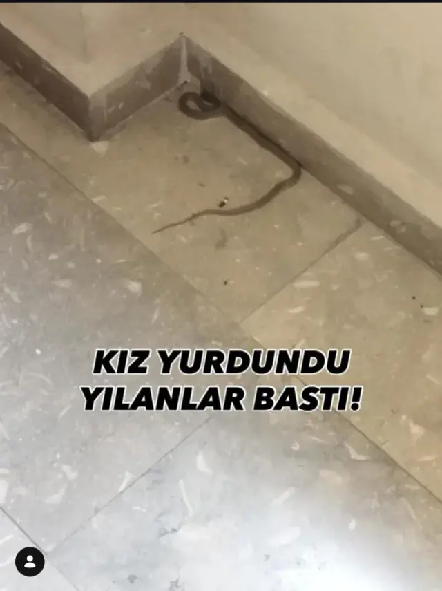 Kız yurdunda çekildiği söylenen görüntüler vahim