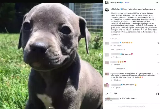 Oyuncu Celil Nalçakan'ın acı günü: Su gibi geldin, su gibi gittin kızım Oyuncu Celil Nalçakan'ın acı günü: Su gibi geldin, su gibi gittin kızım